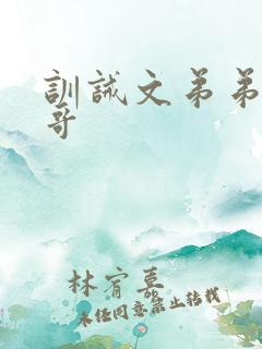 训诫文弟弟打哥哥