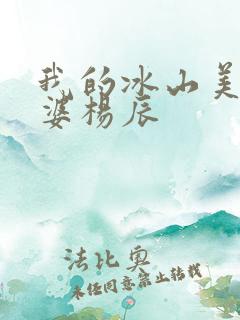 我的冰山美女老婆杨辰