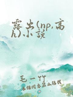 露出(np,高h)小说