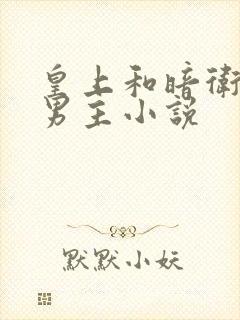 皇上和暗卫的双男主小说