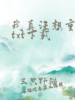 我真没想重生啊txt下载