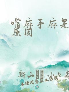 嘴麻手麻是什么原因