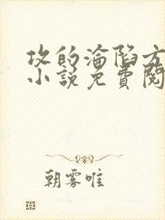 攻的沦陷方法 小说免费阅读