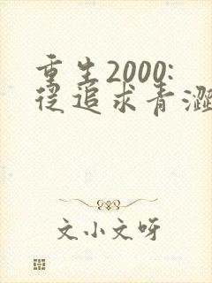 重生2000:从追求青涩校花同桌开始第24章