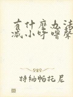 有什么办法可以减小呼噜声