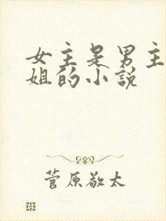 女主是男主的继姐的小说