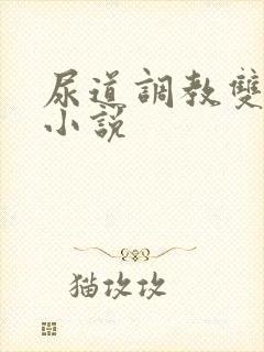 尿道调教双男主小说