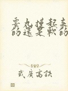 睾丸摸起来是硬的还是软的