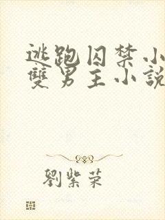 逃跑囚禁小少爷双男主小说推荐完结文