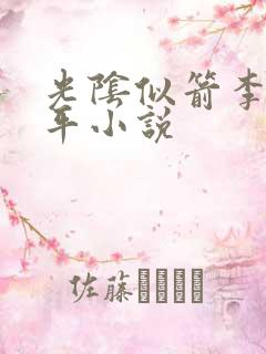 光阴似箭李艳傅平小说