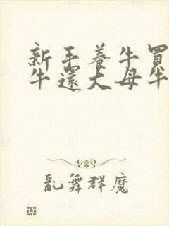 新手养牛买小母牛还大母牛