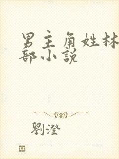 男主角姓林的全部小说