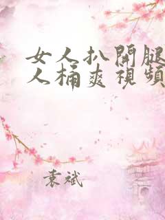 女人扒开腿让男人桶爽视频