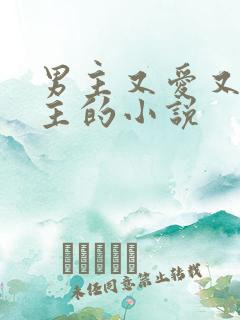 男主又爱又恨女主的小说