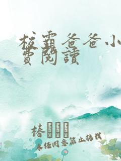 校霸爸爸小说免费阅读