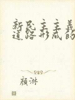 新民主主义革命道路形成的必然性和意义