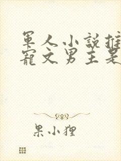 军人小说推荐甜宠文男主是军人