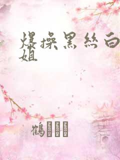 爆操黑丝白虎御姐