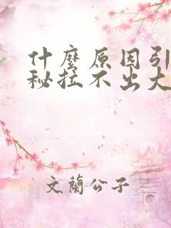 什么原因引起便秘拉不出大便