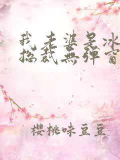 我老婆是冰山女总裁无弹窗