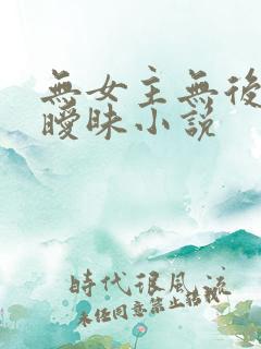 无女主无后宫无暧昧小说