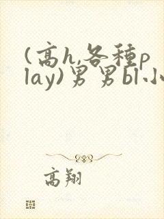 (高h,各种play)男男bl小说