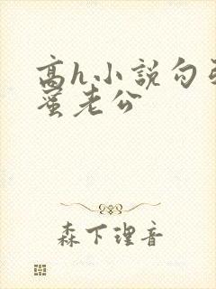 高h小说勾引闺蜜老公