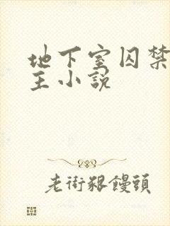 地下室囚禁双男主小说