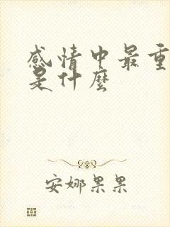 感情中最重要的是什么