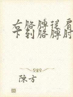 右胳膊从肩膀往下到胳膊肘疼