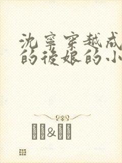 沈宁穿越成三娃的后娘的小说