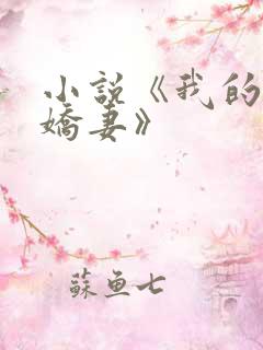 小说《我的极品娇妻》
