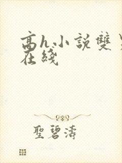 高h小说双男主在线