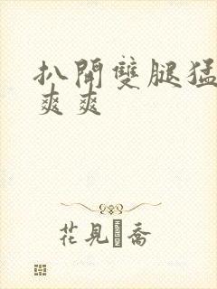 扒开双腿猛进入爽爽