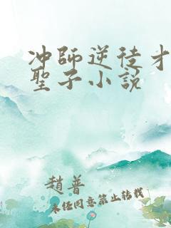 冲师逆徒才不是圣子小说