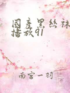 国产黑丝袜在线播放91