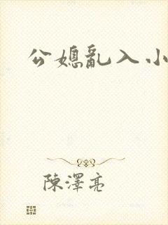 公媳乱入小说