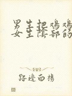 男生把鸡鸡插入女生阴部的视频