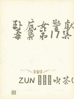 卧底女警献身大毒枭第17集