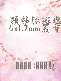 颈动脉斑块3.5x1.7mm严重吗?