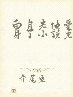 白月光他爱上替身了小说免费阅读