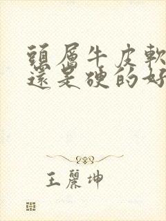 头层牛皮软的好还是硬的好