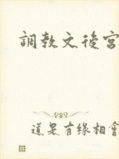 调教文后宫h