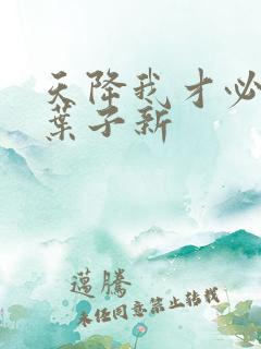 天降我才必有用叶子新