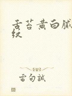 舌苔黄白腻有裂纹