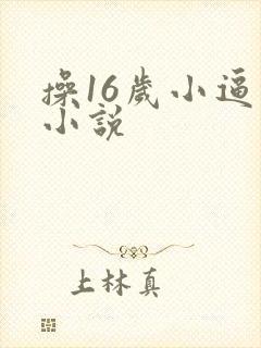 操16岁小逼的小说