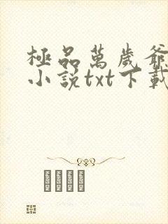 极品万岁爷妖刀小说txt下载