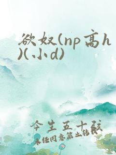 欲奴(np高h)(小d)