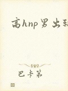 高hnp男出轨