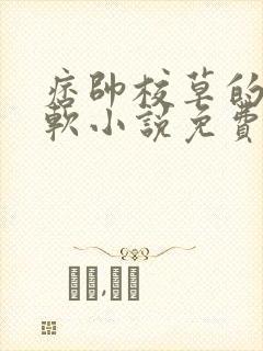 痞帅校草的小柔软小说免费阅读